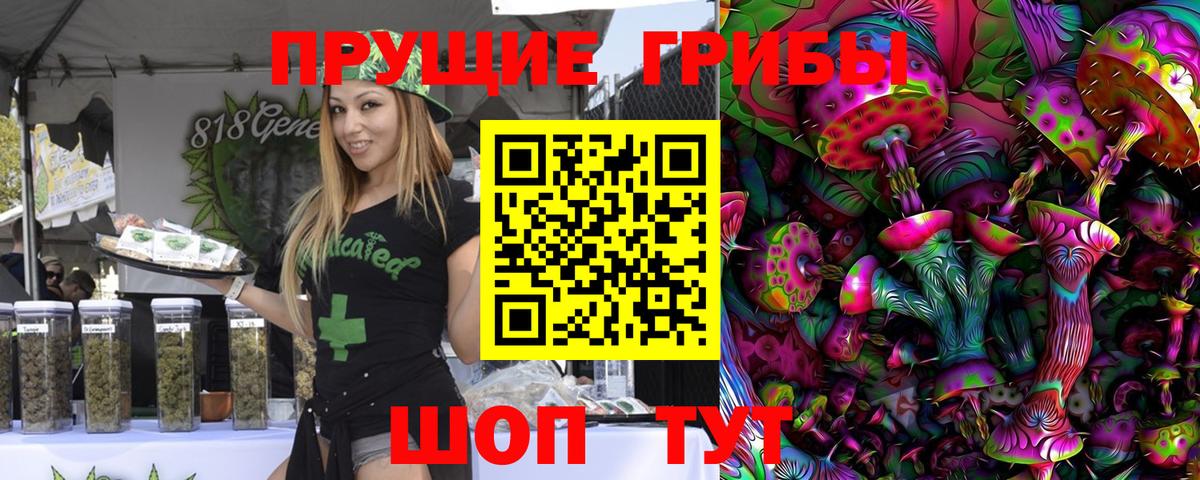 Псилоцибиновые грибы Psilocybine cubensis Подольск